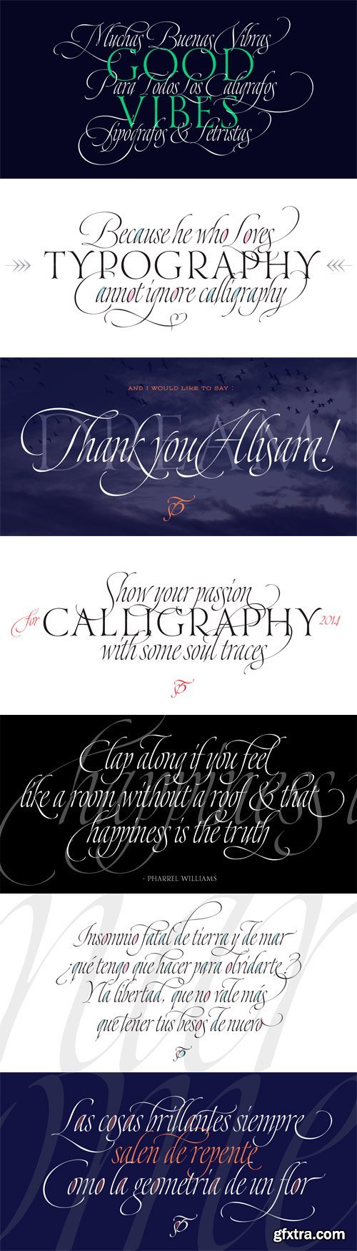 Dream Script Pro Font Family - 2 Fonts for $74