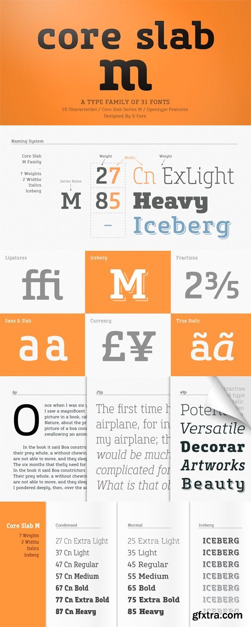 Core Slab M Font Family - 31 Fonts for $380