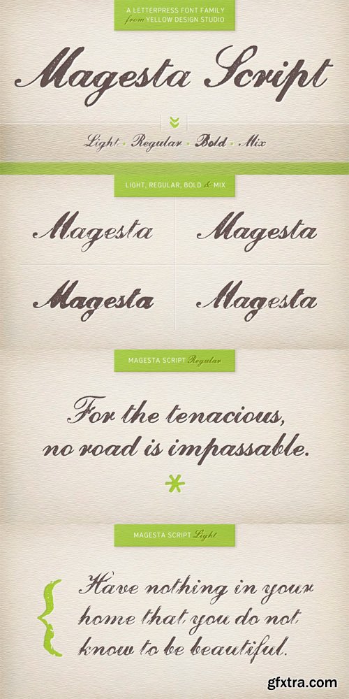 Magesta Script Font Family - 4 Fonts for $25