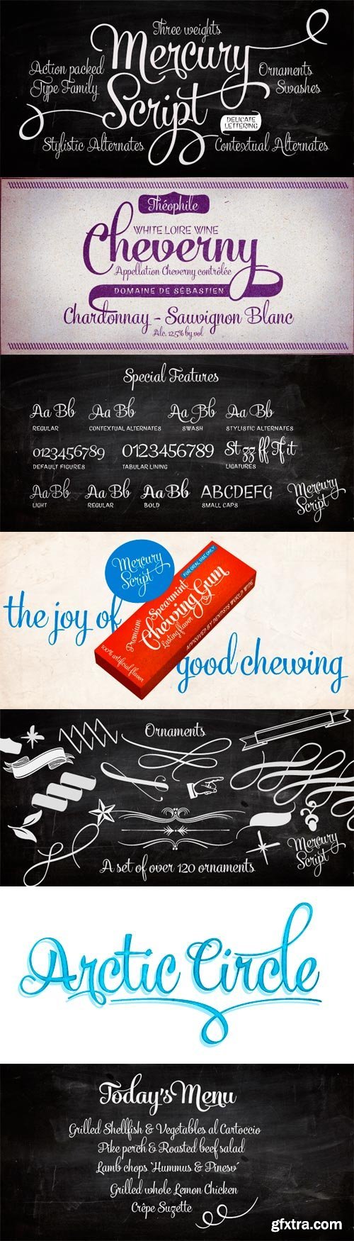 Mercury Script Font Family - 6 Fonts for $99