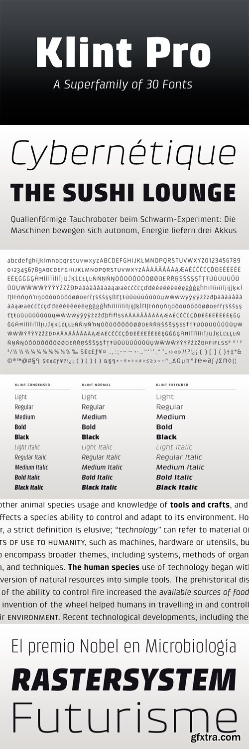 Klint Font Family - 29 Fonts for $1885