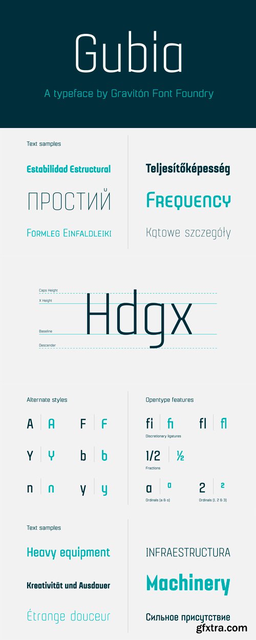 Gubia Font Family - 8 Fonts for $150