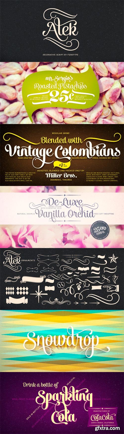 Alek Font Family - 5 Fonts for $32