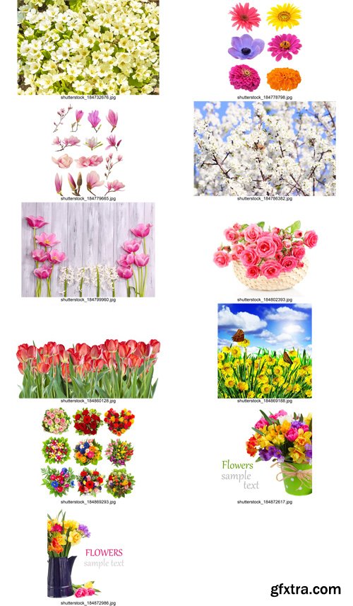 Stock Photos - Flowers, 25xJPG