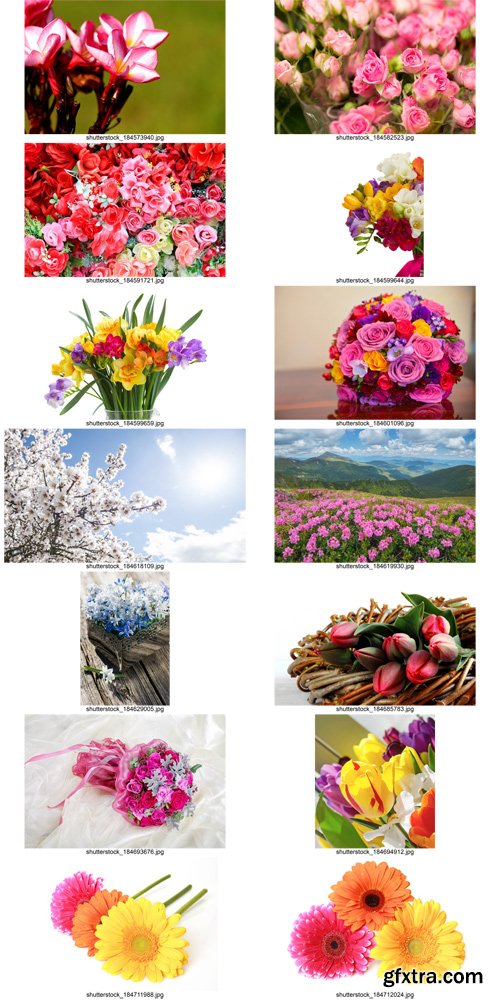 Stock Photos - Flowers, 25xJPG