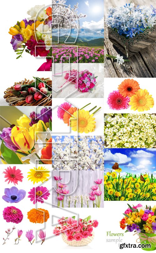 Stock Photos - Flowers, 25xJPG