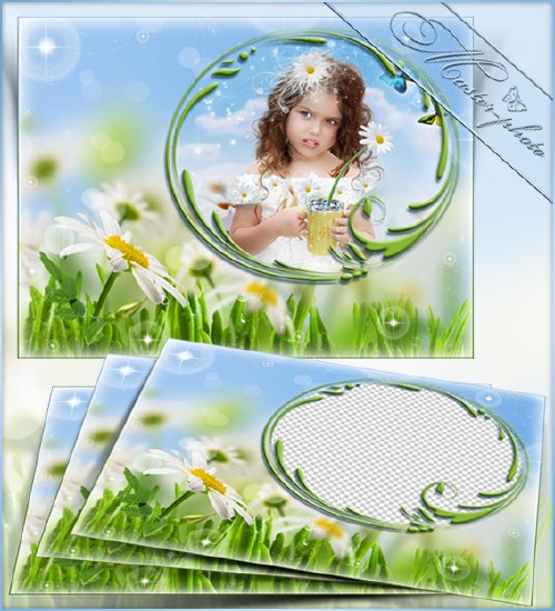 Frame summer photoshop - Gentle color of daisies