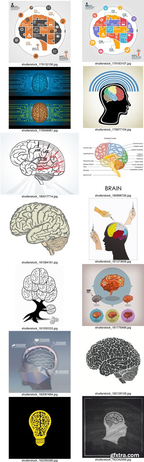 Stock Vectors - Brain, 25xEps