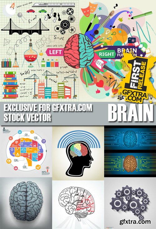 Stock Vectors - Brain, 25xEps