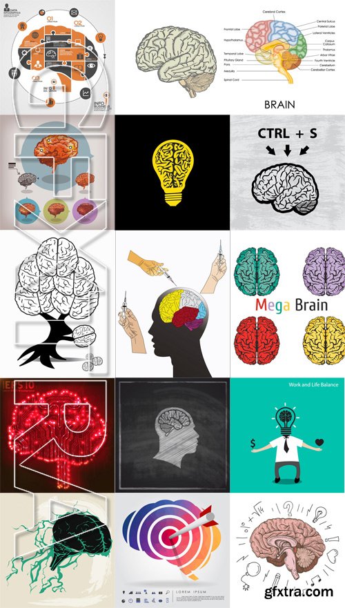 Stock Vectors - Brain, 25xEps