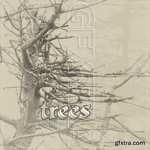 3D Model - Trees