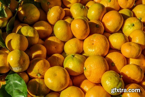 Oranges Collection - 25x JPEGs