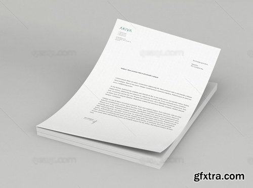 Letterhead Mock up Template 2