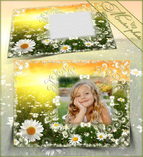 Frame summer photoshop - Chamomile happiness