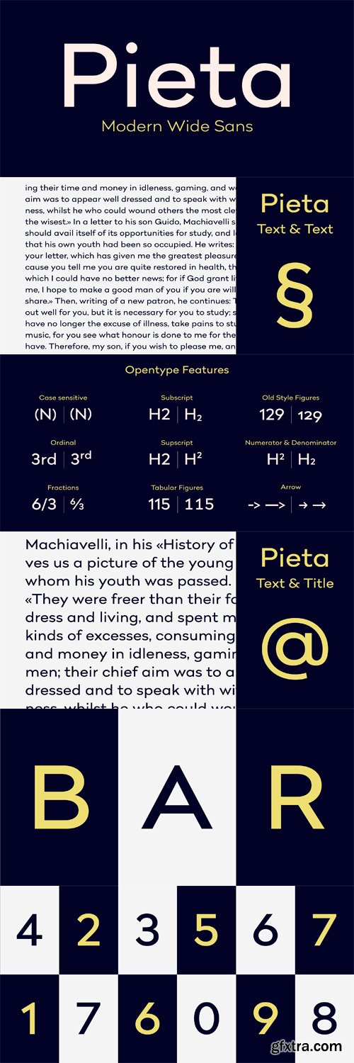 Pieta Font Family - 14 Fonts for $150