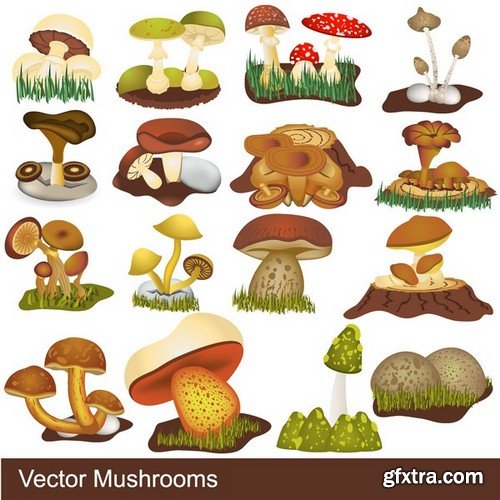 Stock Vectors - Mushrooms, 25xEPS