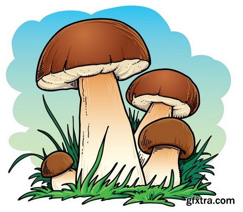 Stock Vectors - Mushrooms, 25xEPS