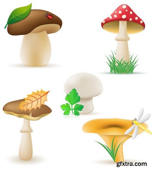 Stock Vectors - Mushrooms, 25xEPS