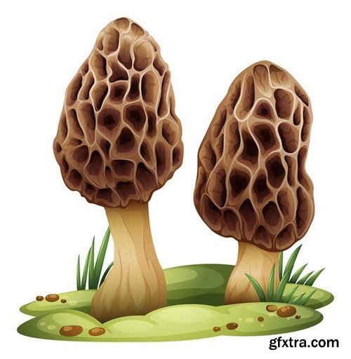 Stock Vectors - Mushrooms, 25xEPS