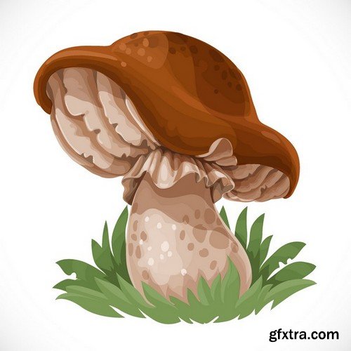 Stock Vectors - Mushrooms, 25xEPS