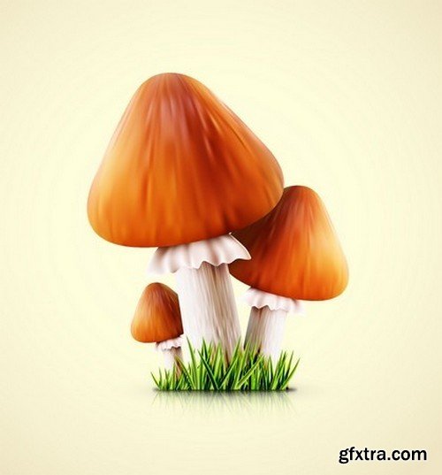 Stock Vectors - Mushrooms, 25xEPS