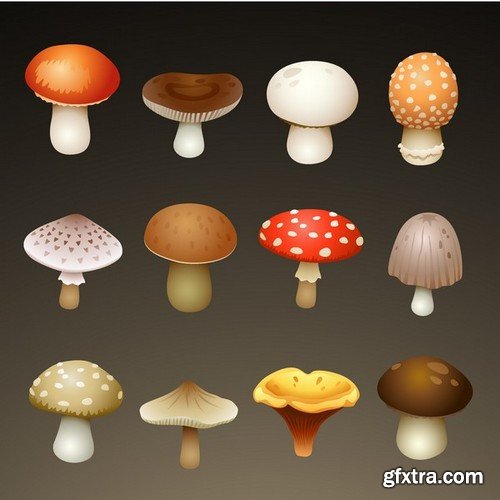 Stock Vectors - Mushrooms, 25xEPS