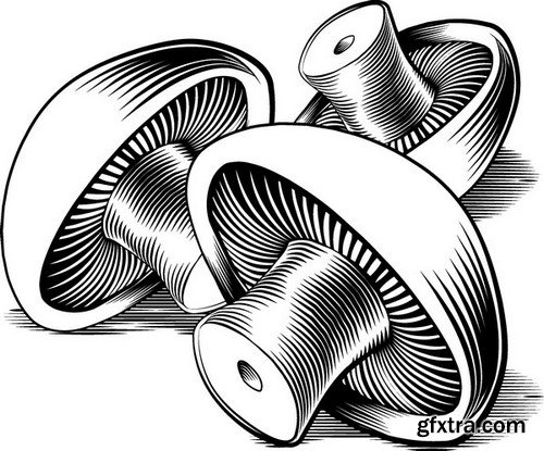 Stock Vectors - Mushrooms, 25xEPS