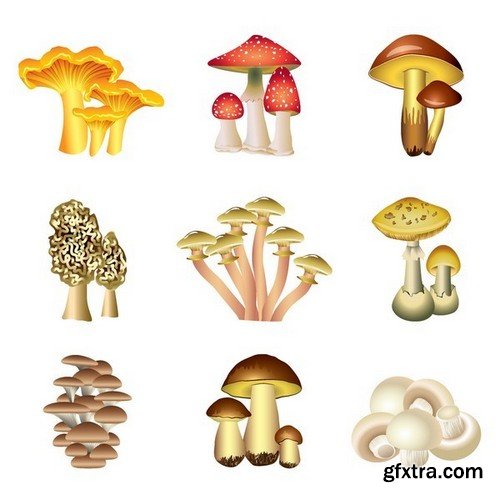 Stock Vectors - Mushrooms, 25xEPS