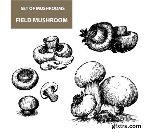 Stock Vectors - Mushrooms, 25xEPS