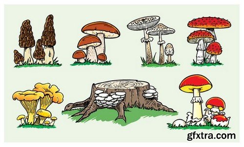 Stock Vectors - Mushrooms, 25xEPS