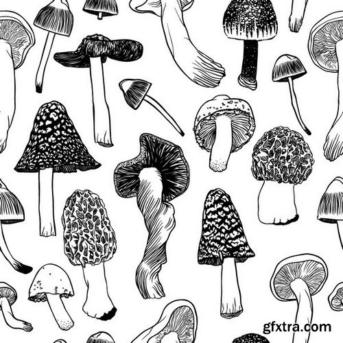 Stock Vectors - Mushrooms, 25xEPS