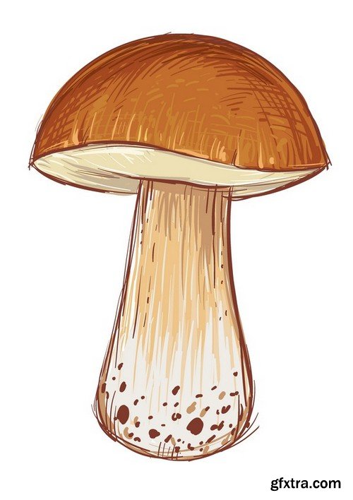 Stock Vectors - Mushrooms, 25xEPS