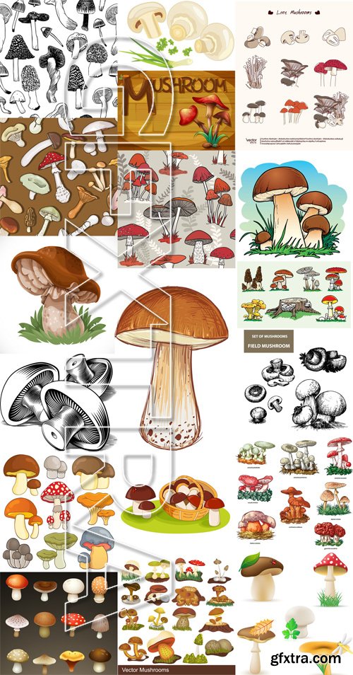 Stock Vectors - Mushrooms, 25xEPS