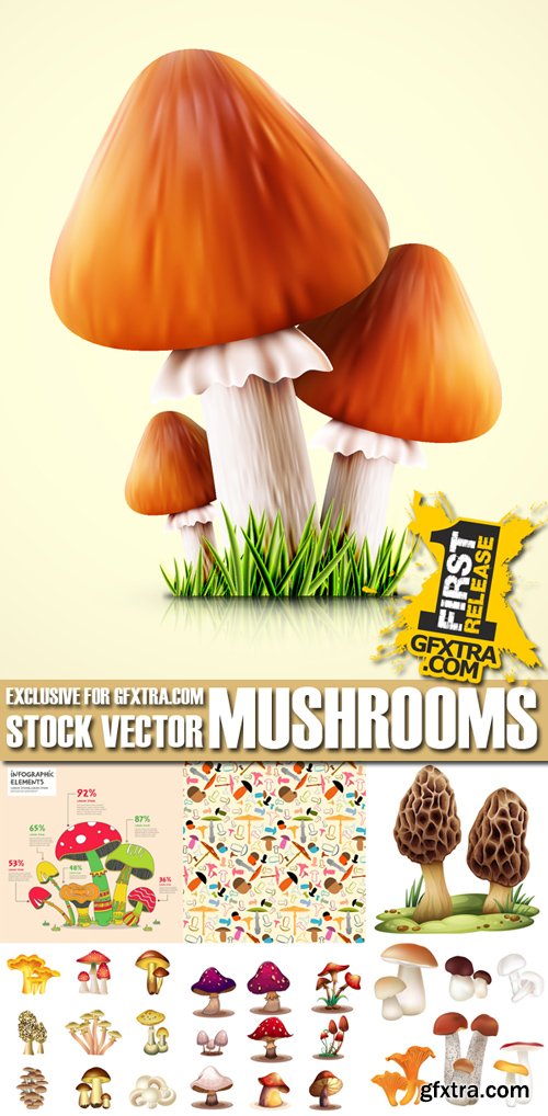 Stock Vectors - Mushrooms, 25xEPS