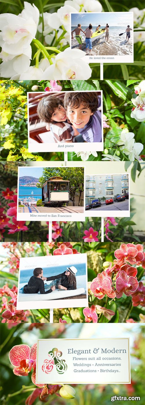 Videohive Photo Gallery with Sunny Flowers 6898143