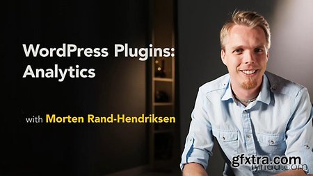 Lynda - WordPress Plugins: Analytics