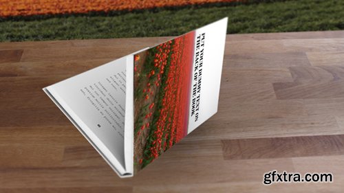 Videohive My Book Promotion 6906790