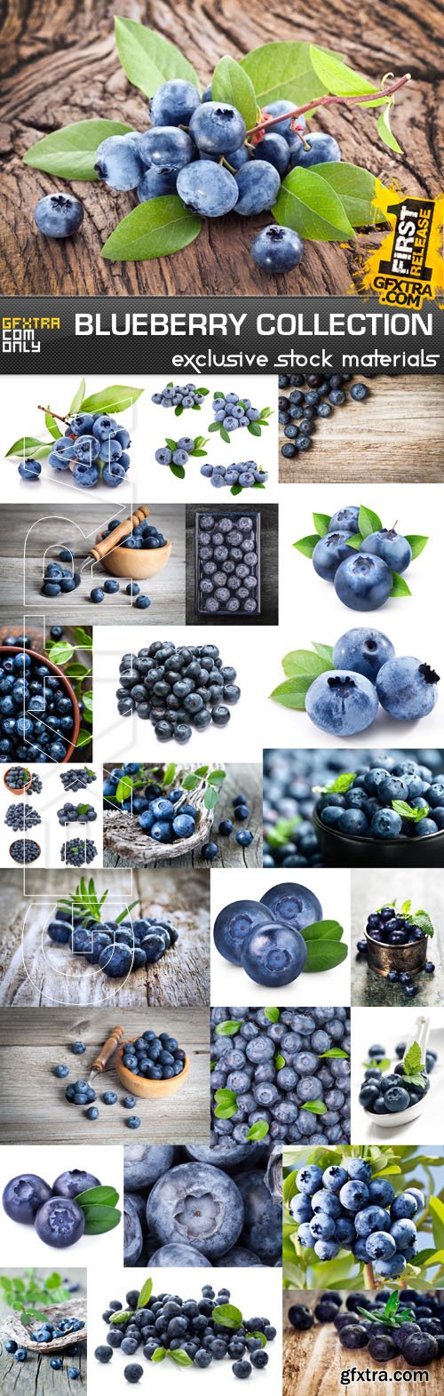 Blueberry Collection, 25xUHQ JPEG