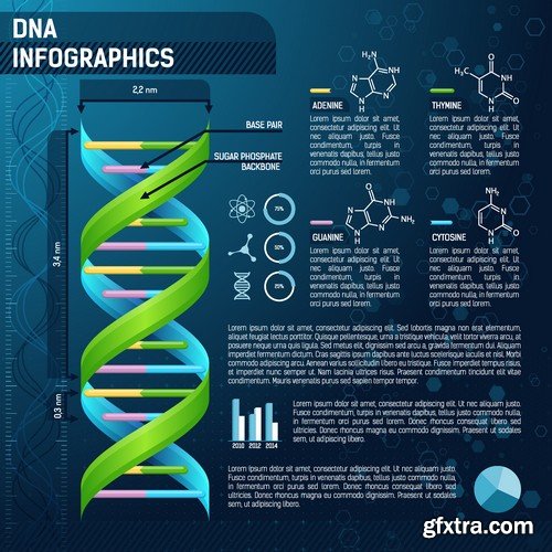 Stock Vectors - Medical Infographic 5, 25xEPS