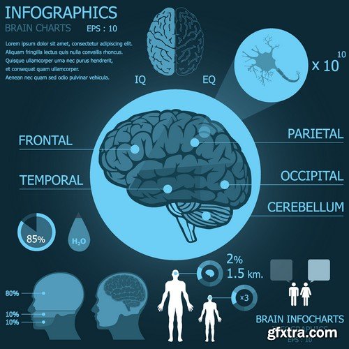 Stock Vectors - Medical Infographic 5, 25xEPS