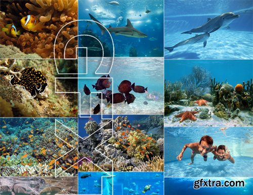 Stock Photos - Underwater World, 25xJPG