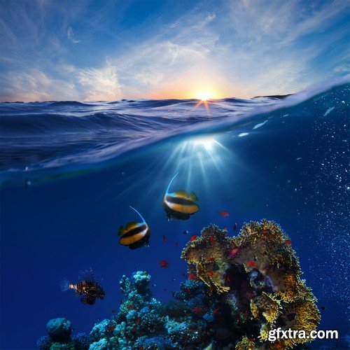 Stock Photos - Underwater World, 25xJPG