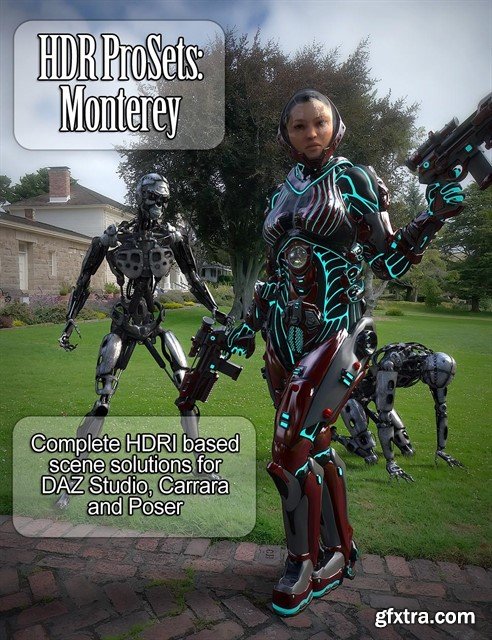 Daz3d Poser Enviroments and Shaders Bundles (Dimenion Theory)