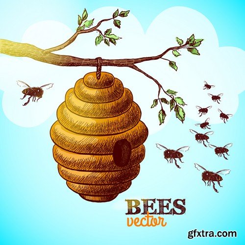 Stock Vectors - Honey, Bee, 25xEPS