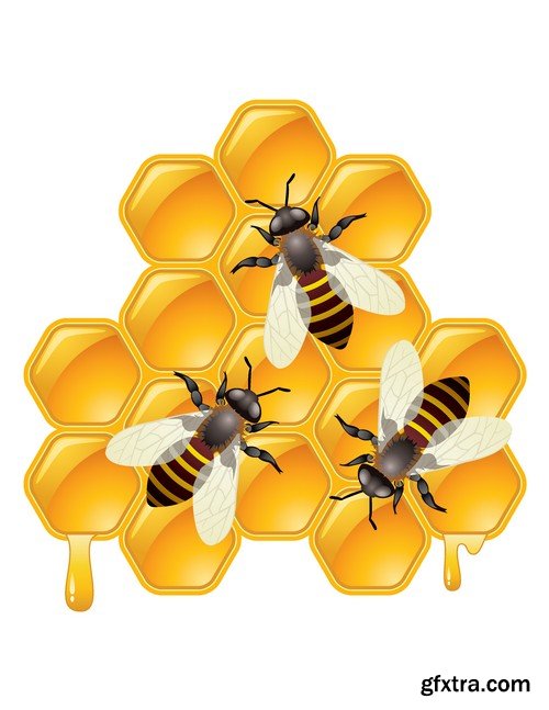 Stock Vectors - Honey, Bee, 25xEPS