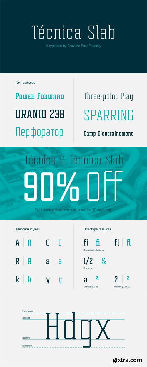 Tecnica Slab Font Family - 4 Font for $75