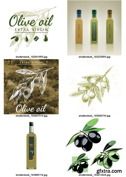 Amazing SS - Collections of Olive Elements 8, 25xEPS