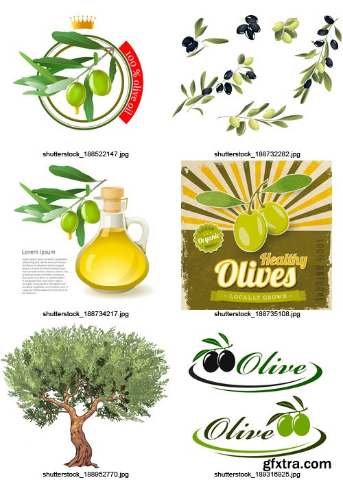 Amazing SS - Collections of Olive Elements 8, 25xEPS