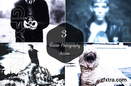 Winter Photography Actions