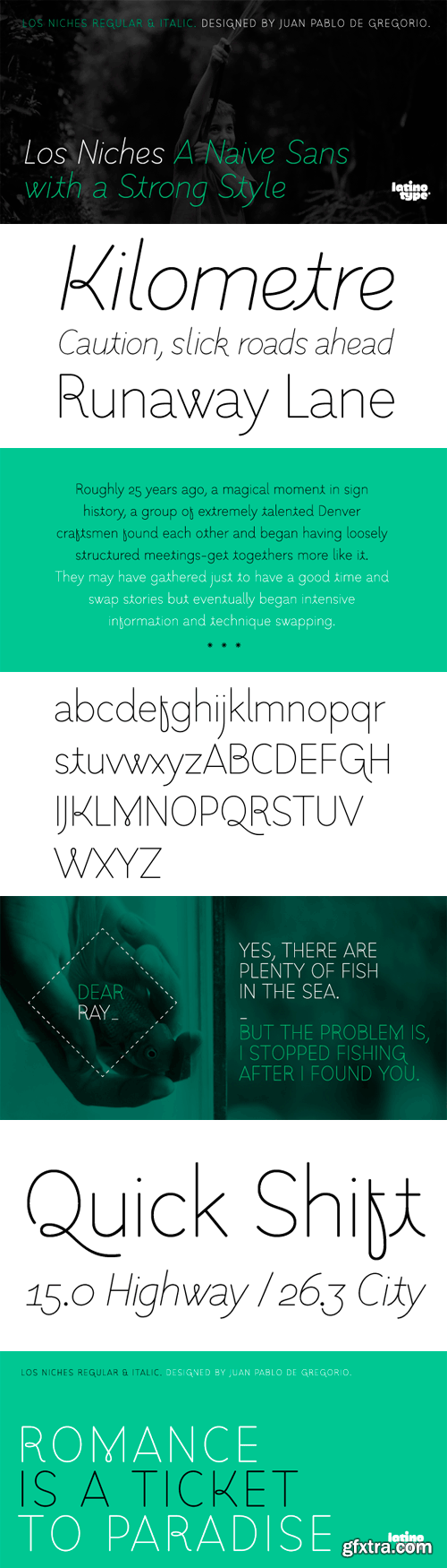 Los Niches Font Family - 2 Fonts for $59